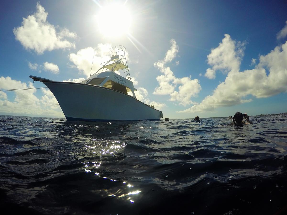 Utila Lodge Екстериор снимка